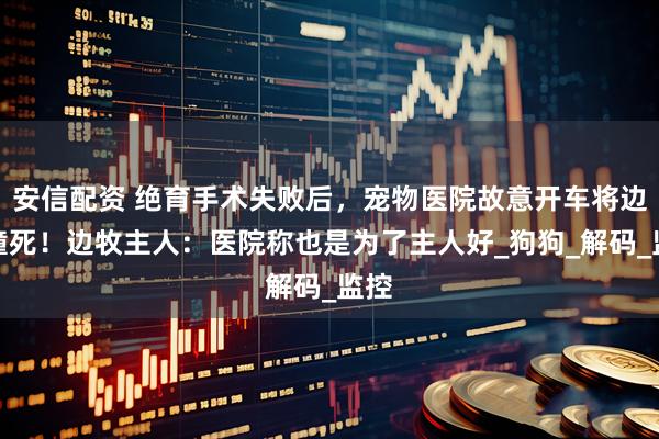 安信配资 绝育手术失败后，宠物医院故意开车将边牧撞死！边牧主人：医院称也是为了主人好_狗狗_解码_监控