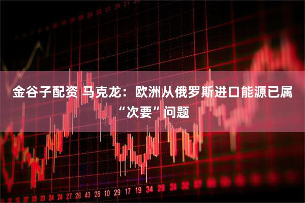 金谷子配资 马克龙：欧洲从俄罗斯进口能源已属“次要”问题