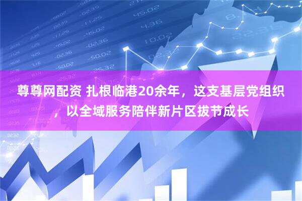 尊尊网配资 扎根临港20余年，这支基层党组织，以全域服务陪伴新片区拔节成长